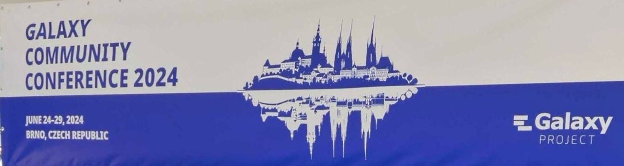 White-blue GCC2024 banner with the silhouette of the old town of Brno